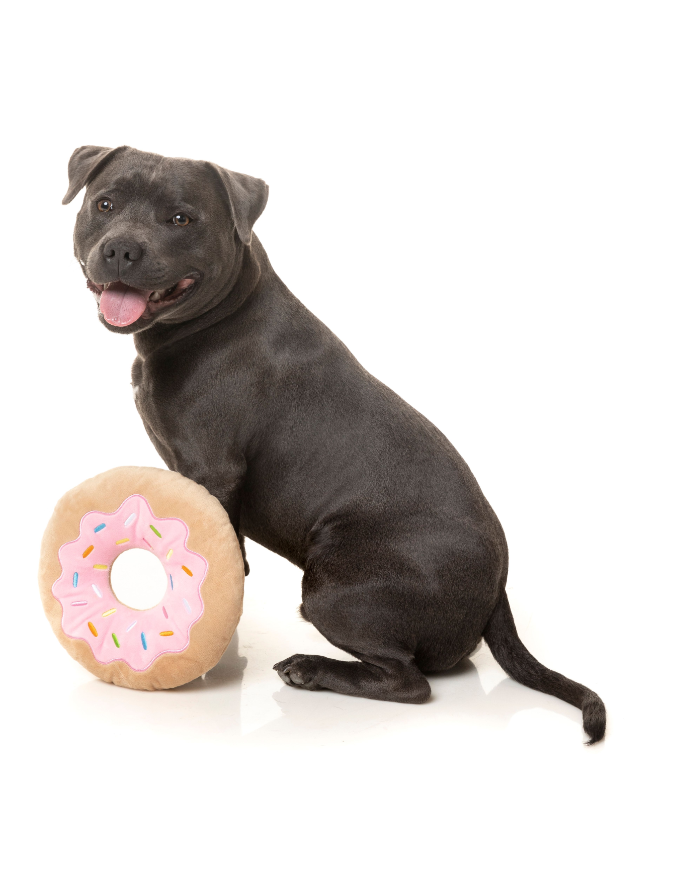 Fuzzyard Plush Dog Toy - 2 Pack Donut Chew Toys for Small & Medium Dogs - Soft & Durable Pet Chew Toys for Puppies, Teething, and Playtime - Perfect for Indoor & Outdoor Use