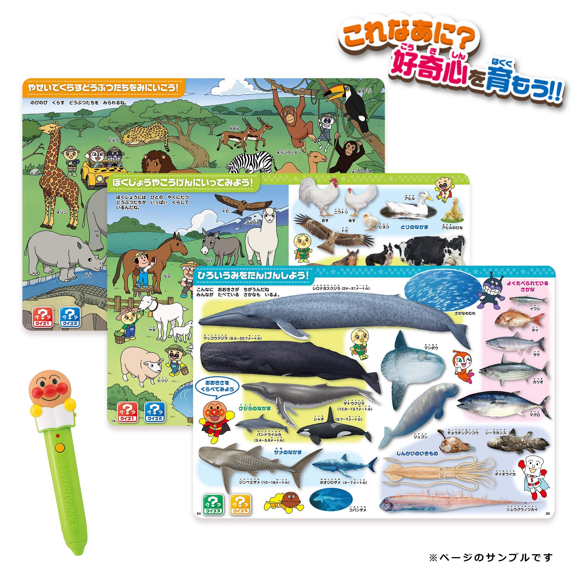 Anpanman Interactive Talking Animal Picture Book for Kids - Fun Early Learning & Storytime Reading for Toddlers & Preschoolers