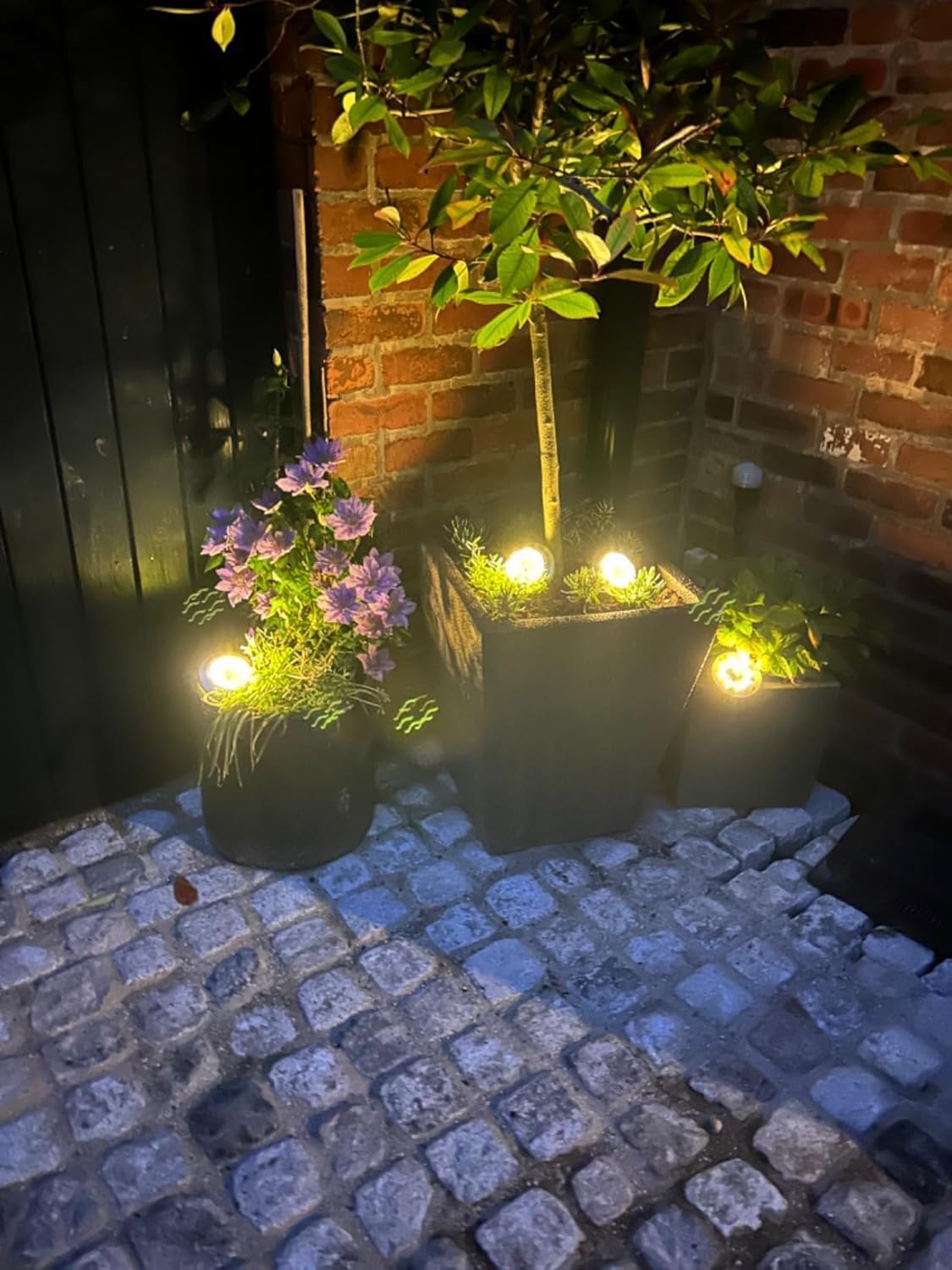 12 Pack Solar Garden Lights - Waterproof LED Outdoor Lighting for Pathway, Yard, Deck