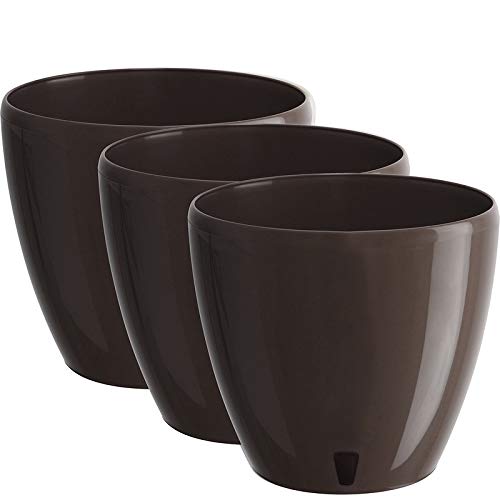 Shade - Set of 3