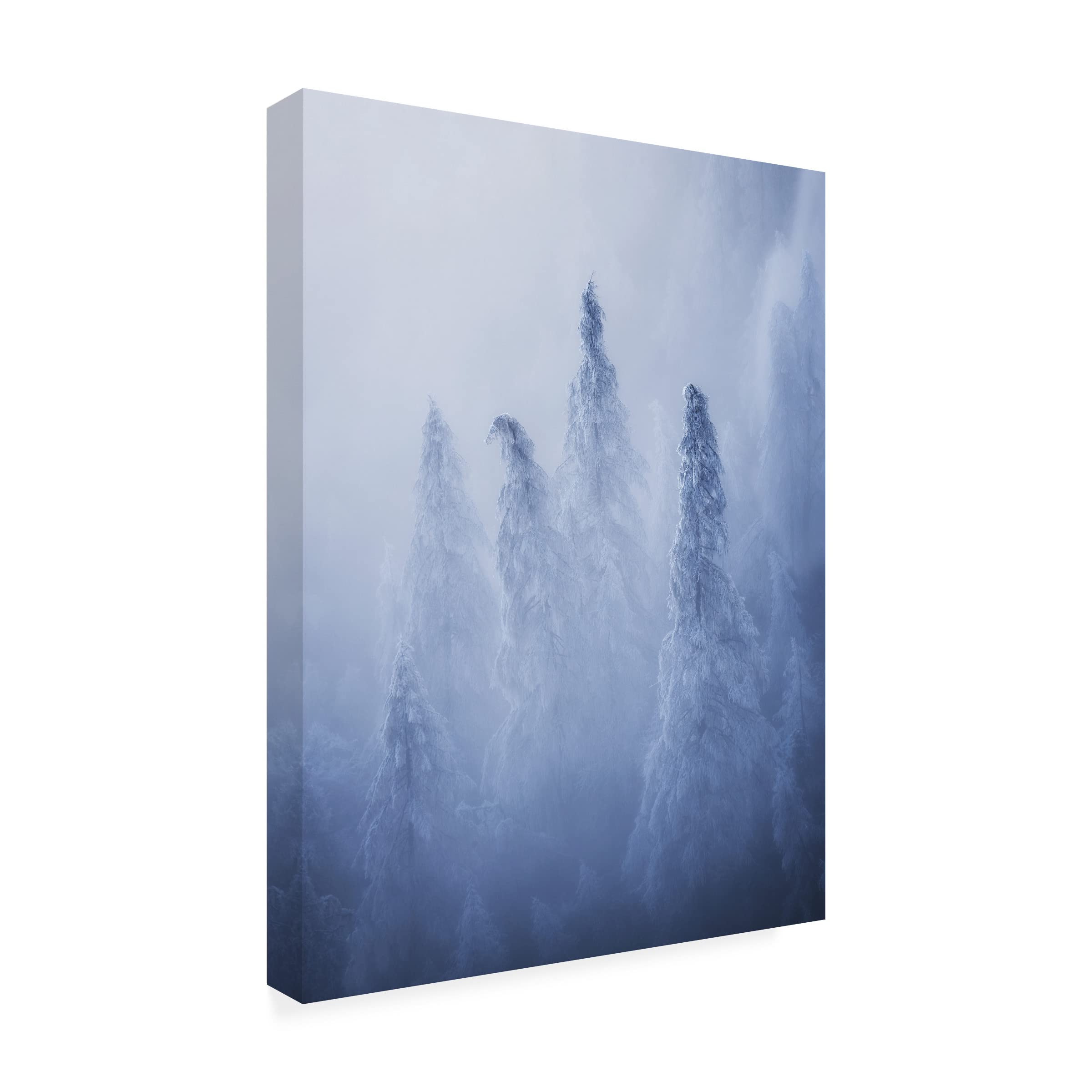 Trademark Fine Art 'Ghosts' Canvas Wall Art by Ales Krivec - Modern Abstract Painting for Living Room, Bedroom & Office Decor