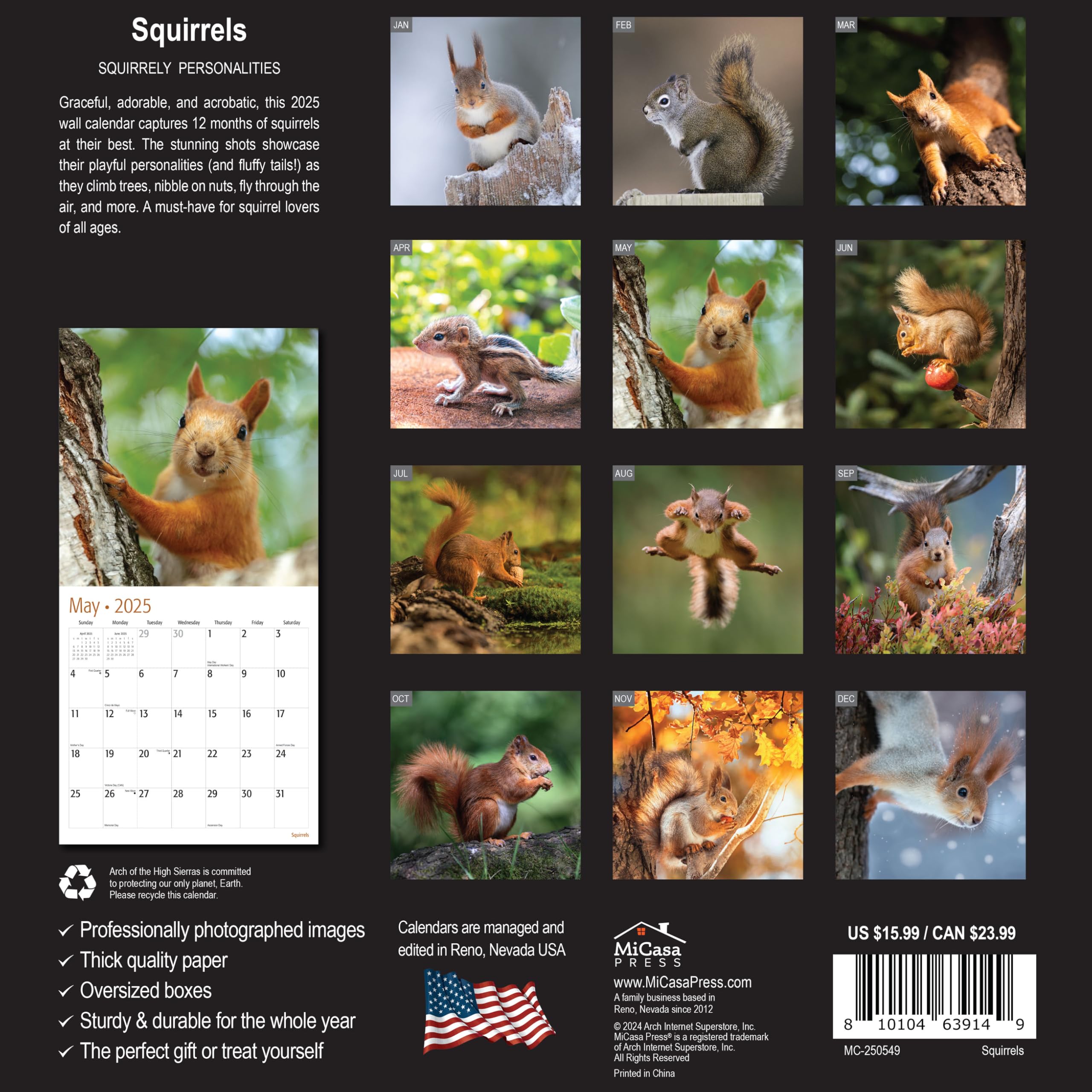 MICASA Squirrels 2025 Wall Calendar - 12 Month Large (12x24 Inches) with Thick Sturdy Paper | Perfect Home & Office Decor | Great Gift Idea for Nature Lovers | Use for Planning, School, or Work Schedules
