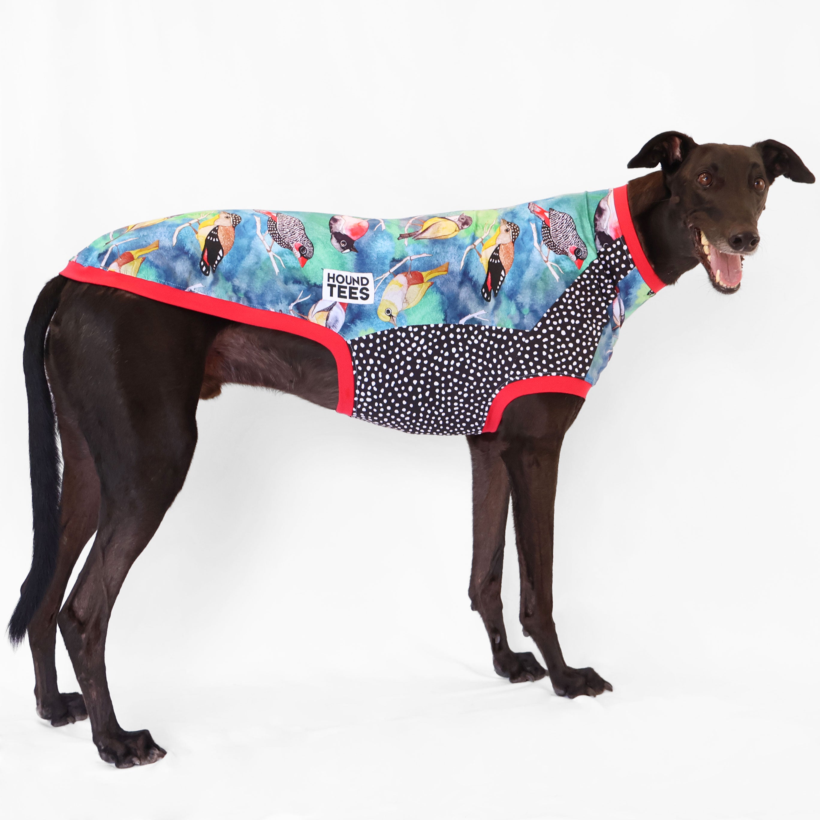 Birbs Greyhound Sleeveless Hound Tee - Comfortable Dog Lover T-Shirt for Men & Women - Perfect for Casual Wear, Dog Walks, and Pet Owner Outfits