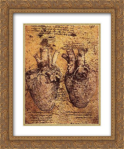 Leonardo da Vinci Heart Anatomy Drawing - 20x24 Gold Ornate Framed Art Print with Double Mat | Vintage Medical Illustration | Perfect for Doctors Office Decor, Art Gallery Display & Renaissance Art Collection