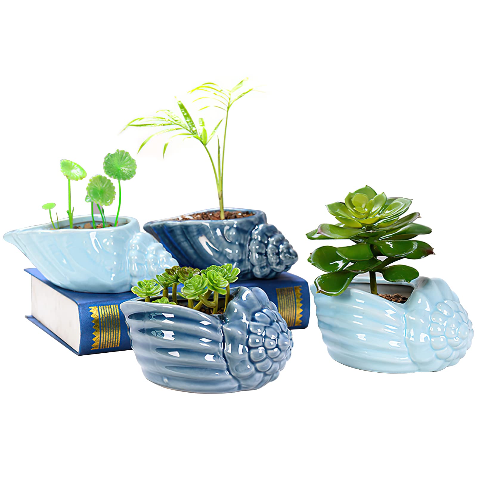 Foraineam 5.5-6.5 Inch Ceramic Succulent Plant Pots - Blue Conch Ocean Seashell Series (Set of 4) with Drainage Hole - Perfect for Indoor Cactus, Aloe Vera & Small Plants - Home, Office & Garden Decor