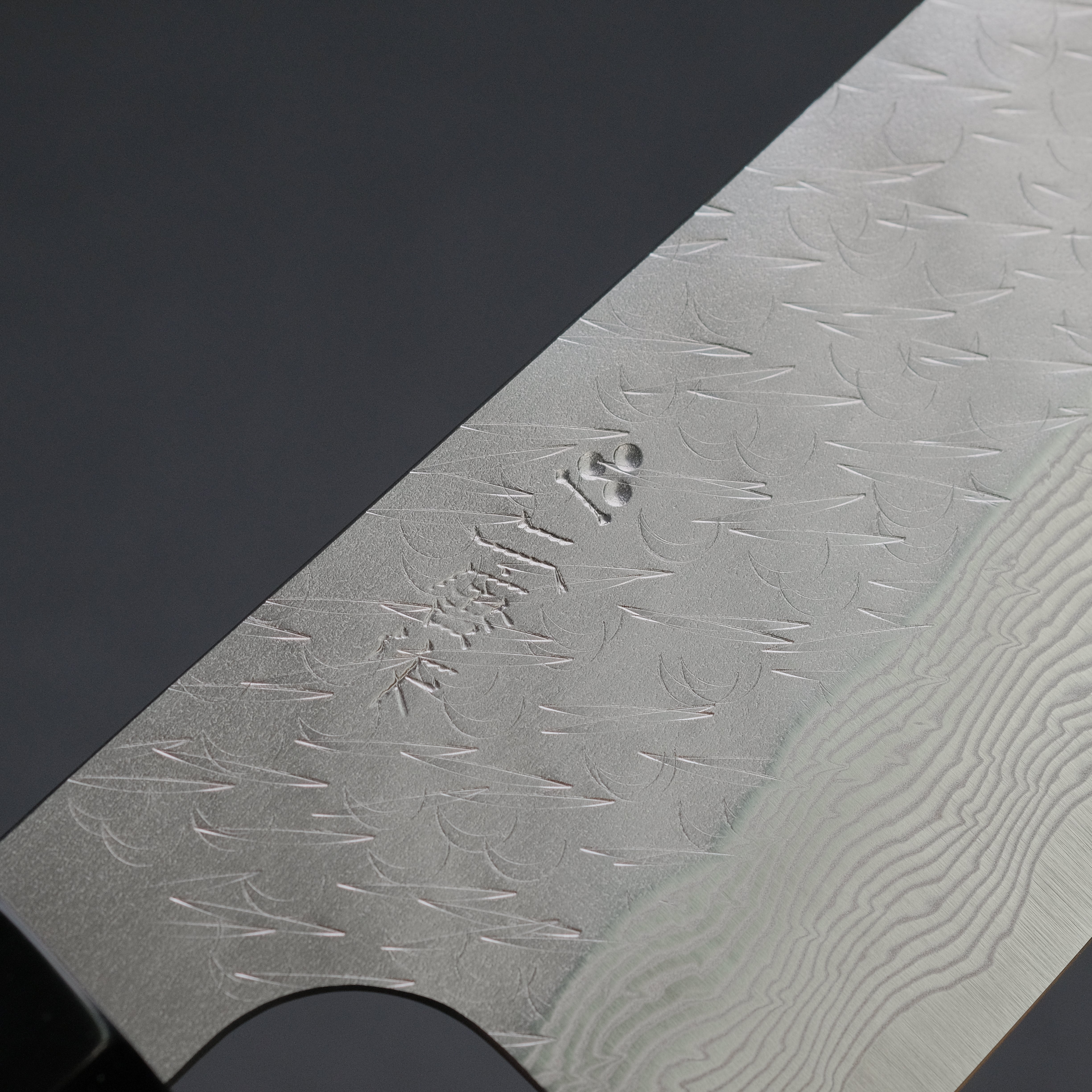 Nigara SG STRIX Gyuto 210mm Japanese Chef Knife with Premium Ebony Handle - Perfect for Sushi, Meat Cutting & Professional Kitchen Use
