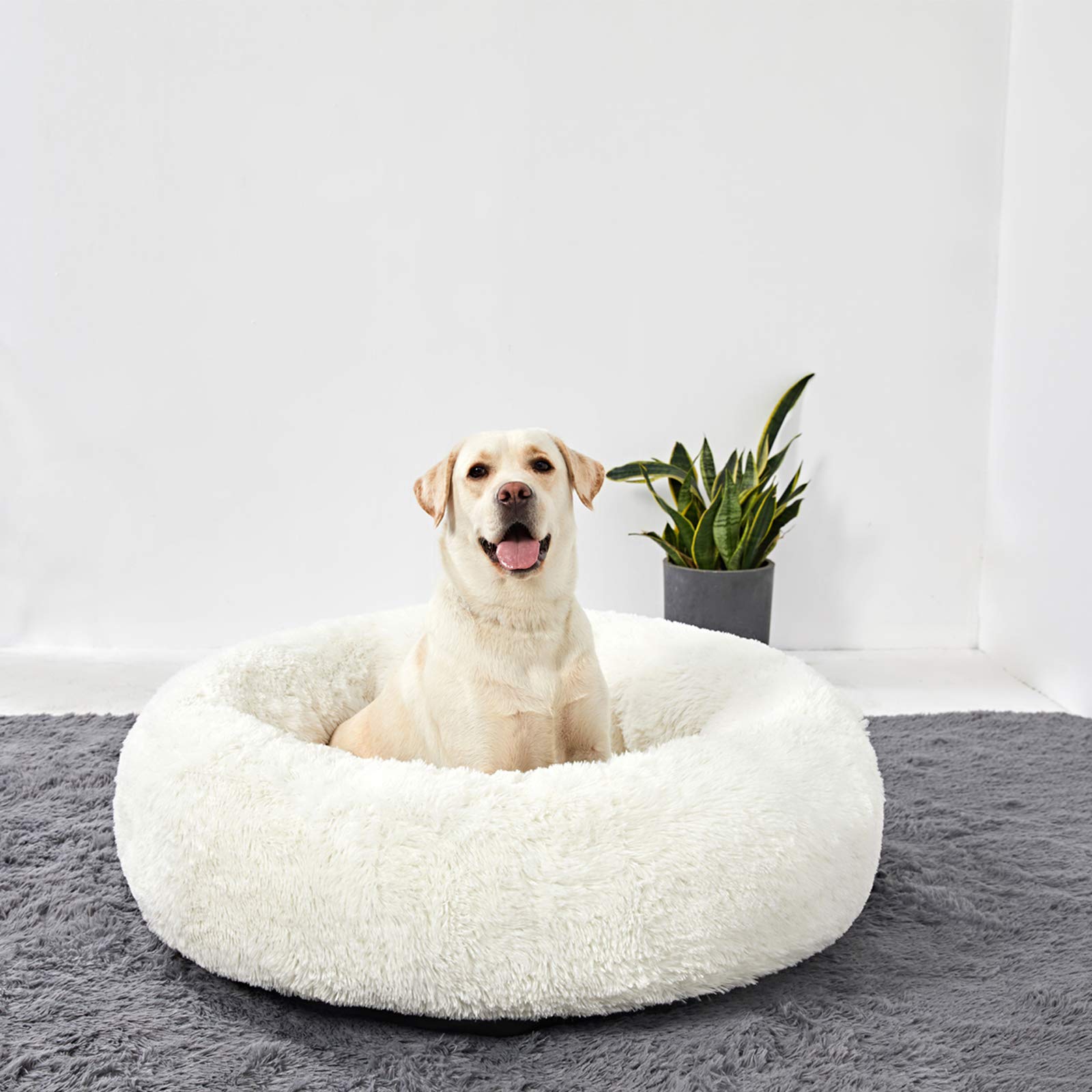 Washable Round Donut Dog Bed for Large Dogs - Ultra Soft Calming Cuddler Pet Bed for Anxiety Relief - Perfect for Crates, Living Rooms & Bedrooms