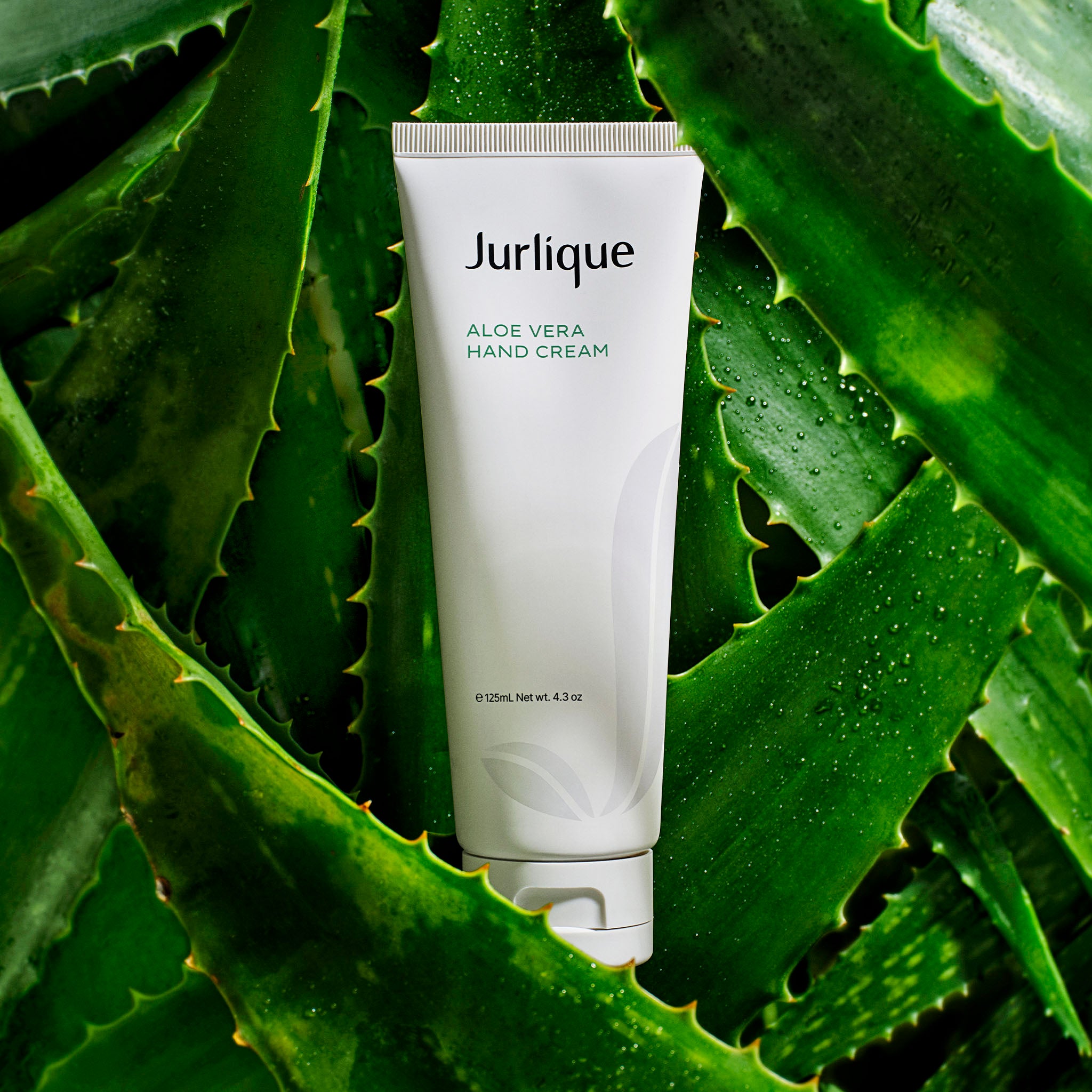Organic Aloe Vera Hand Cream for Dry Skin - Moisturizing & Healing - Perfect for Winter Care, Cracked Hands & Cuticle Repair