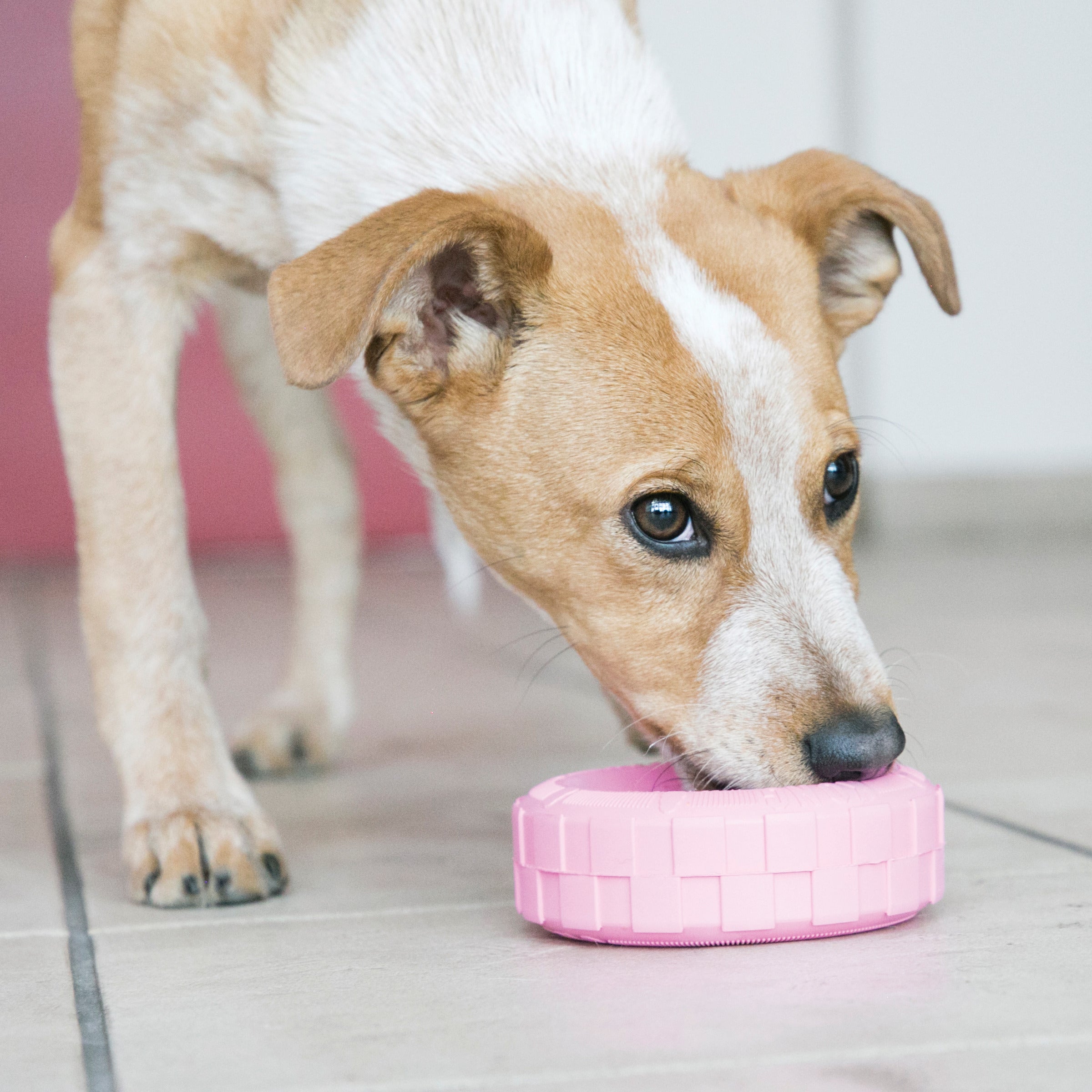 Durable Puppy Kong Chew Toy Tire - Hide Treats for Teething Puppies - Perfect for Training, Playtime & Dental Health