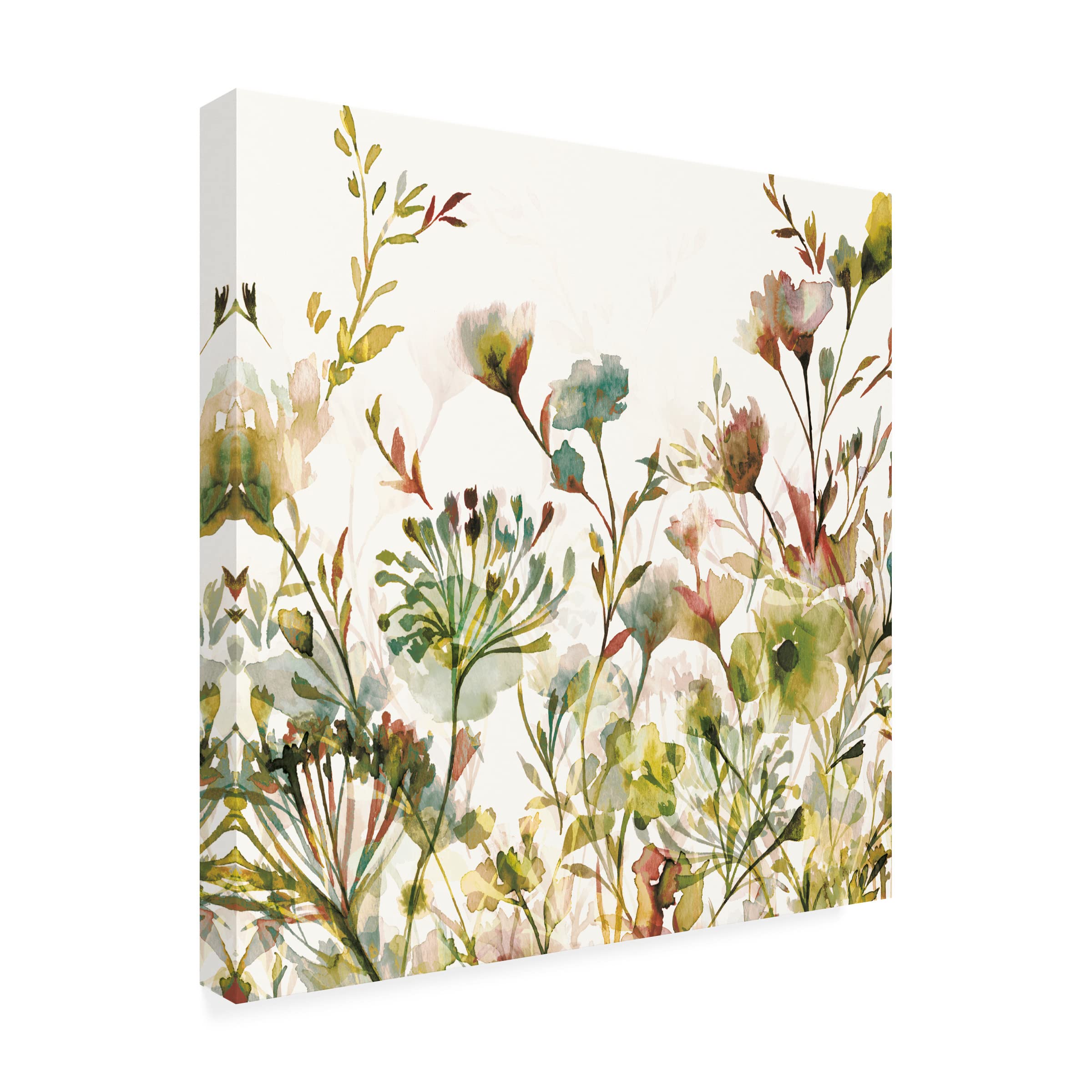 Trademark Fine Art 'Transparent Garden Warm' Canvas Wall Art Print by Wild Apple Portfolio - Perfect for Living Room, Bedroom & Office Decor
