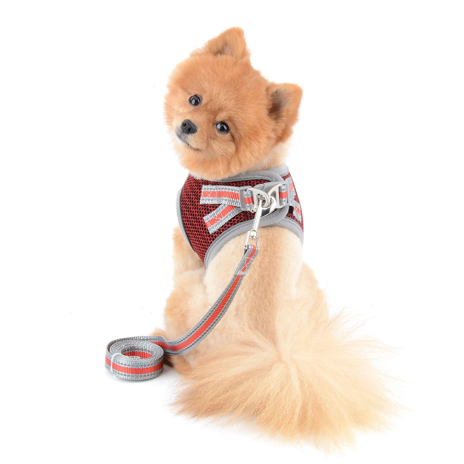 SELMAI Reflective Cat Harness and Leash Set - Escape Proof No Pull Adjustable Soft Mesh Vest for Small Dogs, Kittens, Puppies & Chihuahuas (Red, XL, 1.5m) - Perfect for Night Walks, Pet Training & Outdoor Adventures