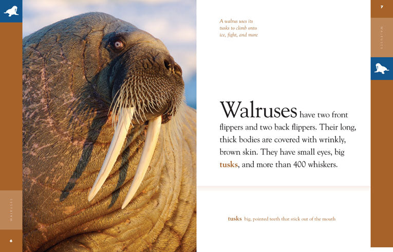 Amazing Animals (2014): Walruses - Educational Wildlife Documentary for Kids & Nature Lovers | Perfect for Classroom Learning & Family Movie Nights