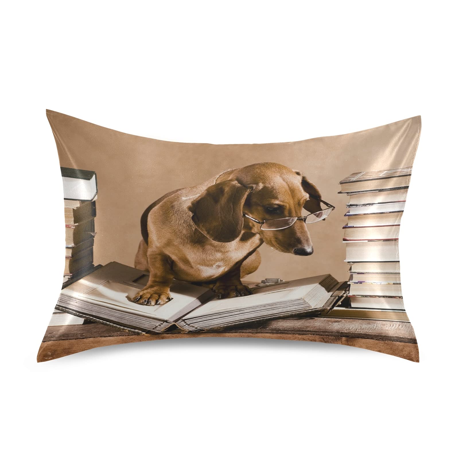 Satin Pillowcase for Hair & Skin, Queen Size 20x30in - Soft, Breathable for Bed & Sofa