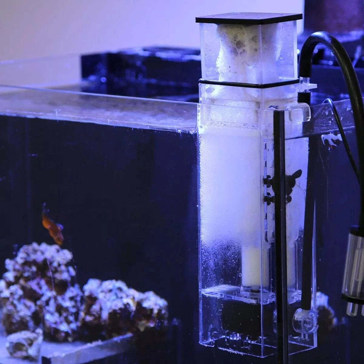 BioSkim DC Protein Skimmer for Saltwater Aquariums - Innovative Marine Nano Skimmer for Reef Tanks - Efficient Waste Removal for Healthy Coral & Fish (Perfect for Small to Medium Aquariums)