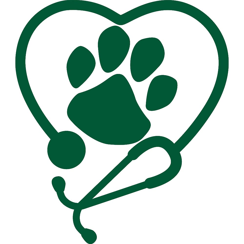 Premium Waterproof Vinyl Paw Print Stethoscope Decal Stickers (Green, Set of 2) - Laptop, Phone, Helmet, Car Window, Bumper, Mug, Cup, Door & Wall Decoration for Pet Lovers, Nurses & Medical Students
