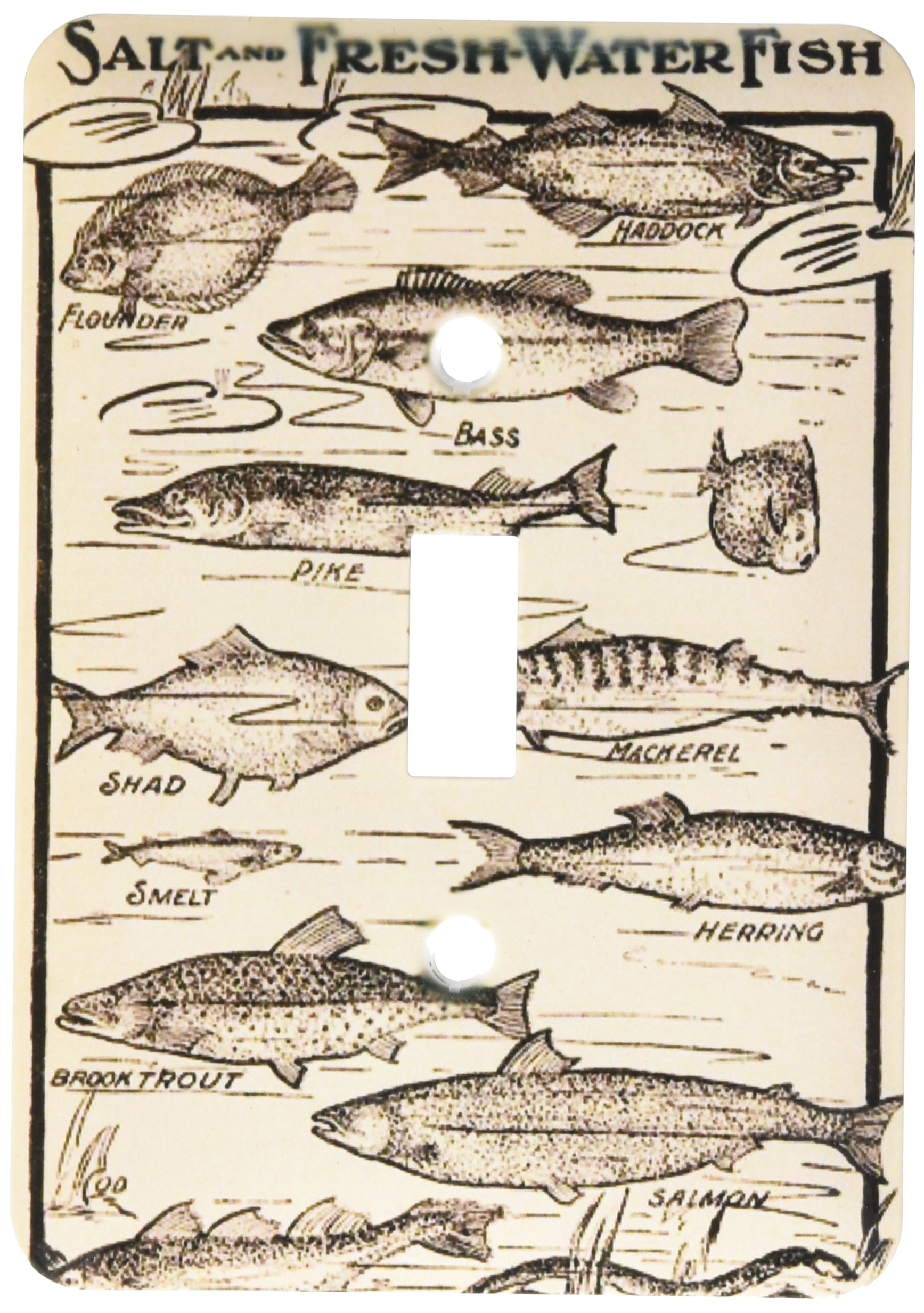 3D Printed Antique Chart of Freshwater and Saltwater Fish Light Switch Cover - Decorative Wall Plate for Home, Office, and Classroom Decor