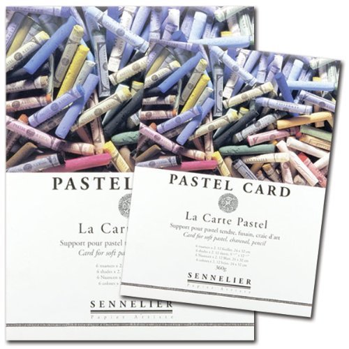 Sennelier La Carte Pastel Paper Pad - 12 Sheets, 11.75x15.75 Inches - Premium Pastel Drawing Paper for Artists & Sketching - Perfect for Pastel Art, Charcoal, and Mixed Media Projects