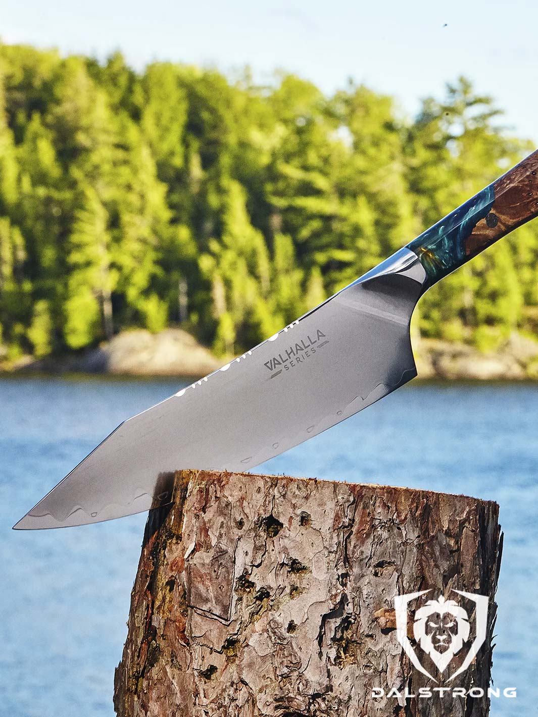 Dalstrong Valhalla Series 9.5
