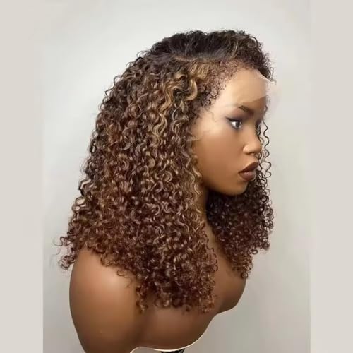 highlight curly 13x4 lace wig