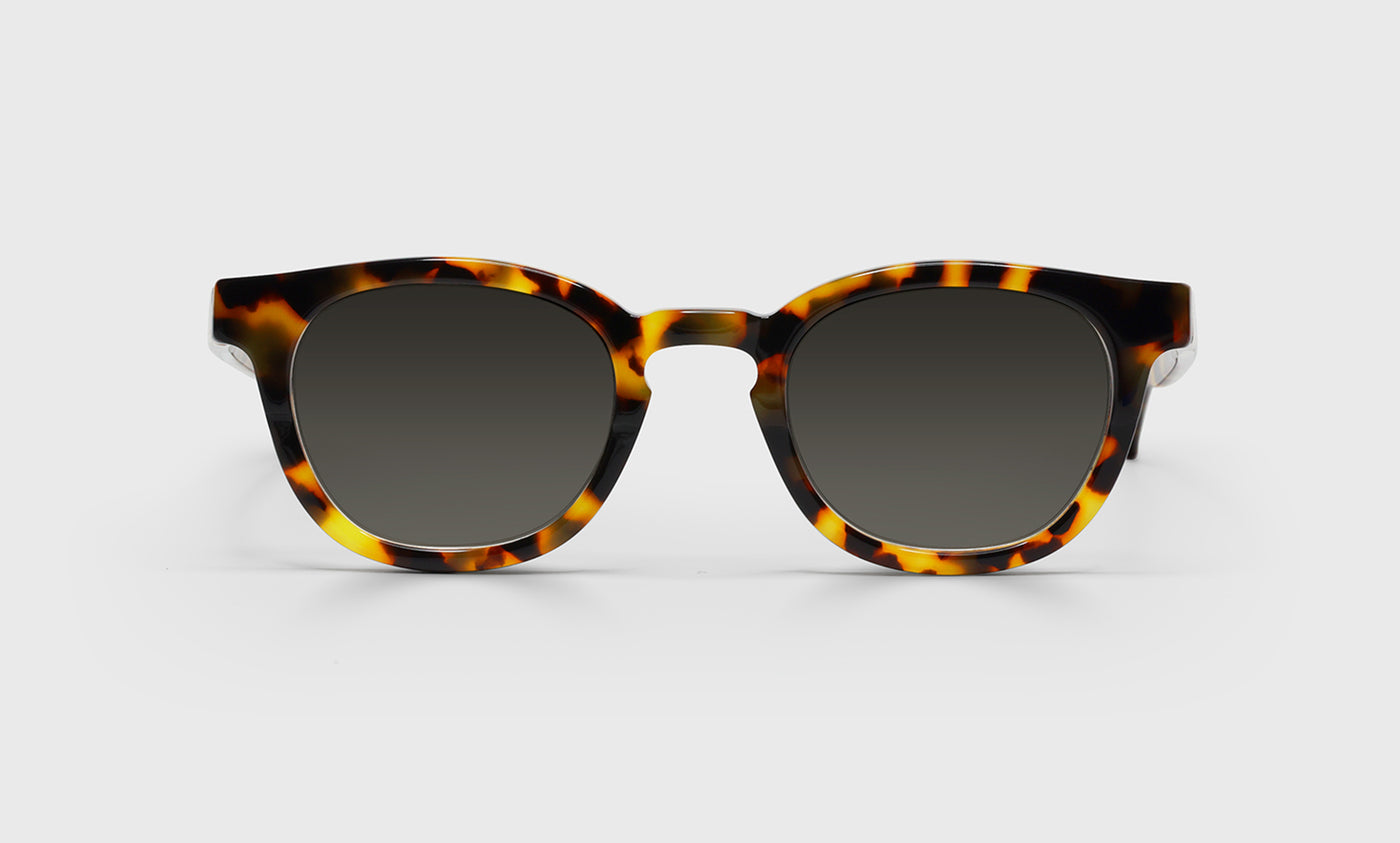 19 - Tortoise Front and Temples