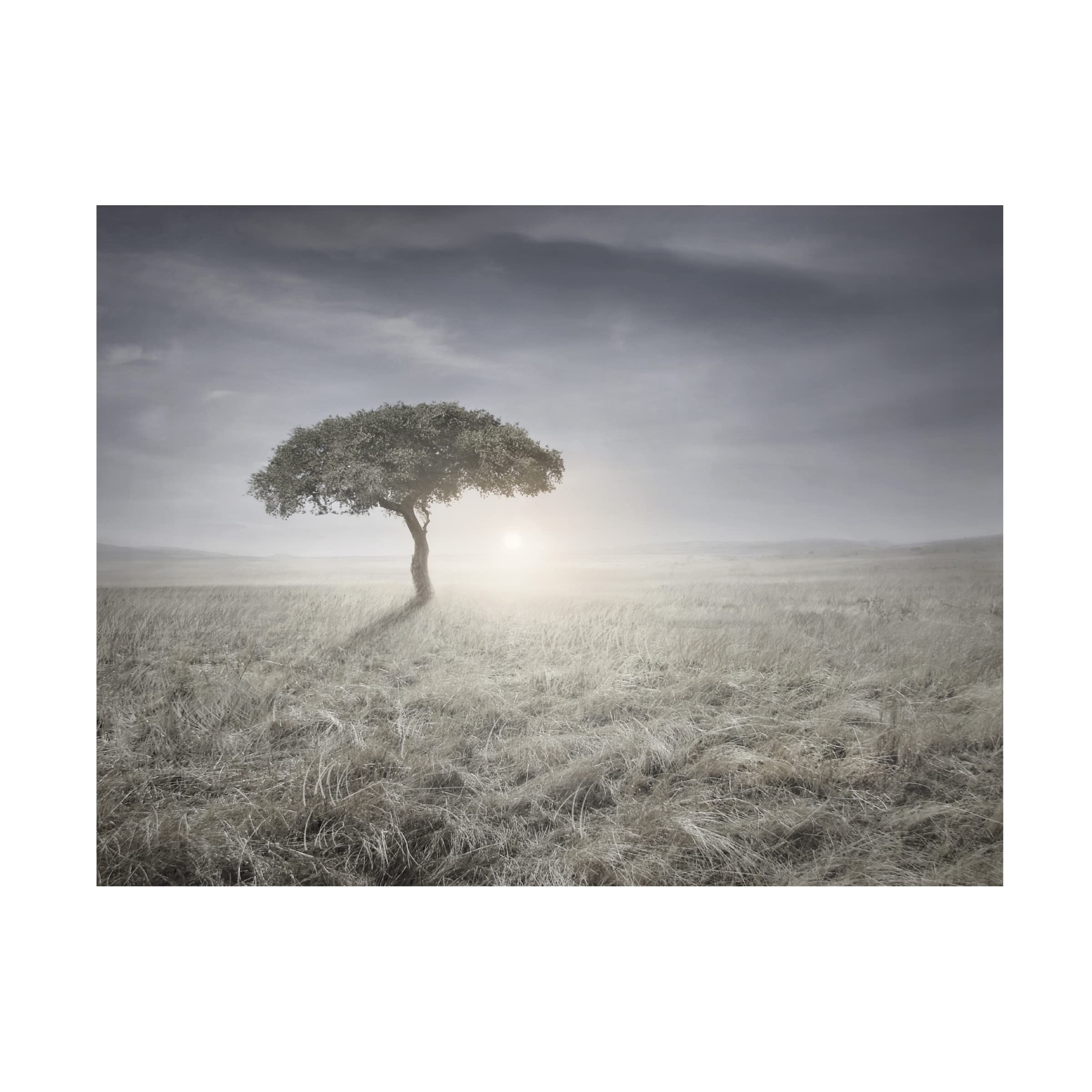 Ben Heine 'I Hear The Birds Sing' Canvas Wall Art Print - Modern Bird Painting for Living Room, Bedroom & Office Decor | Trademark Fine Art Collection
