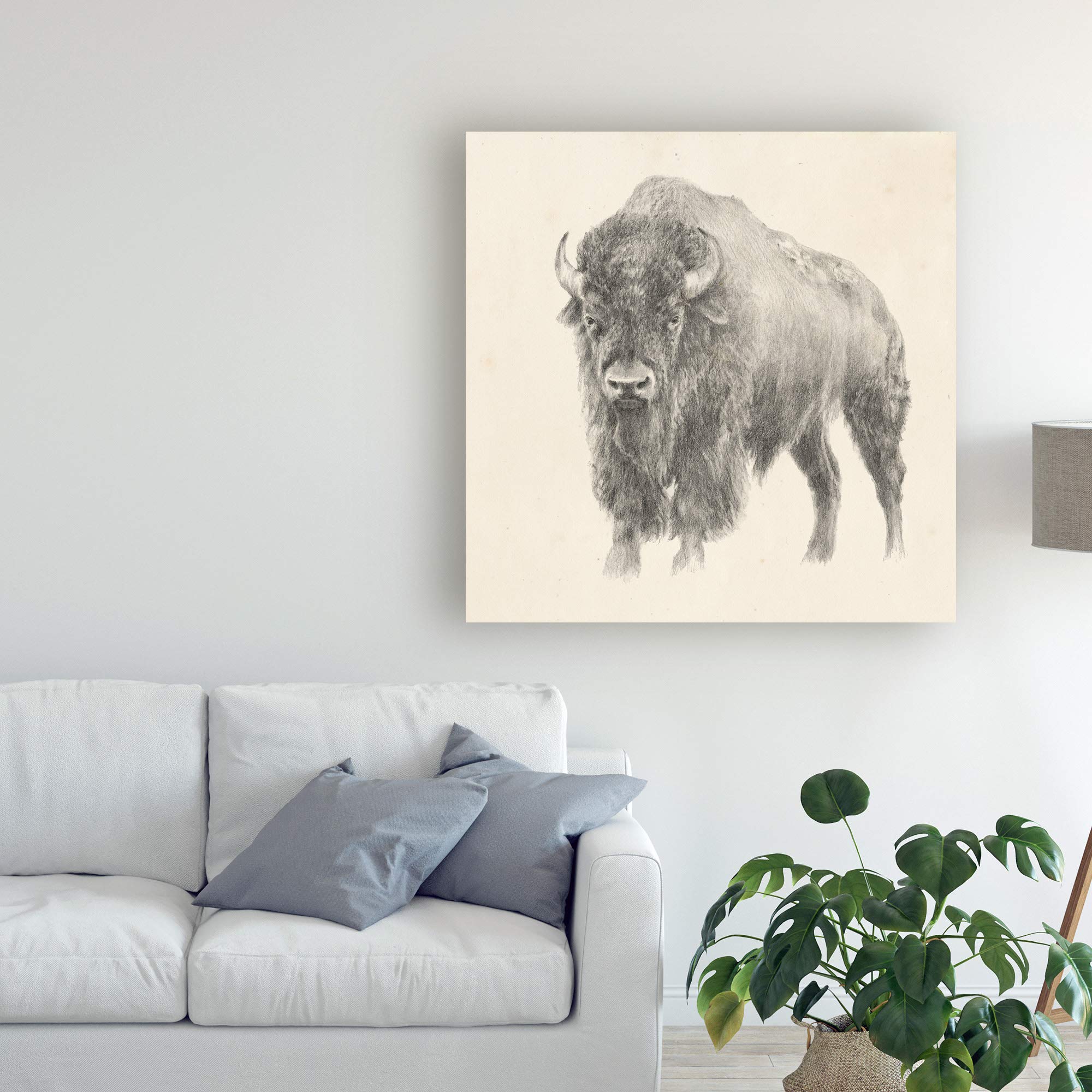 Trademark Fine Art - 18x18 Western Bison Study by Ethan Harper - Premium Canvas Wall Art for Home & Office Decor