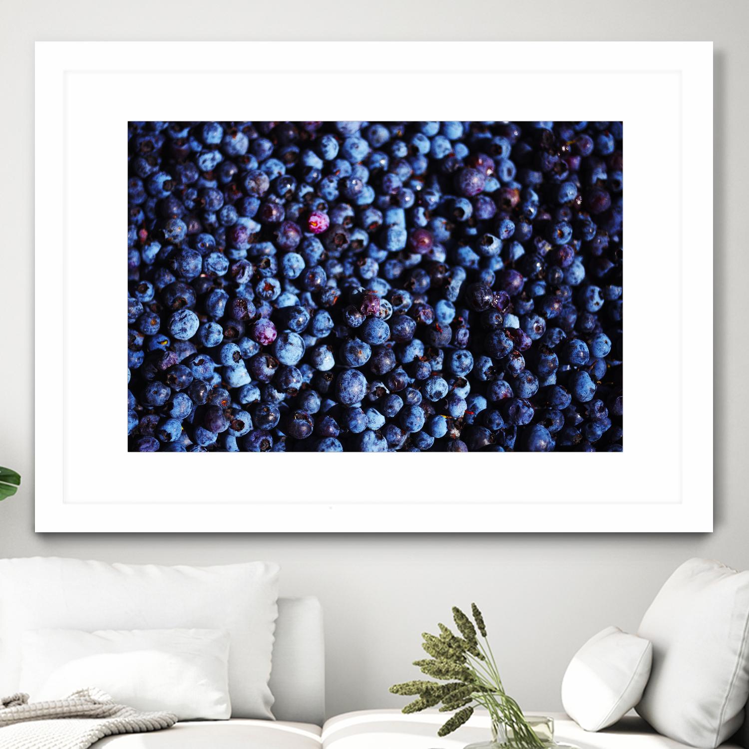 Fresh Organic Blueberries for Sale - Sweet & Juicy Antioxidant-Rich Superfood | Perfect for Smoothies, Baking & Healthy Snacks