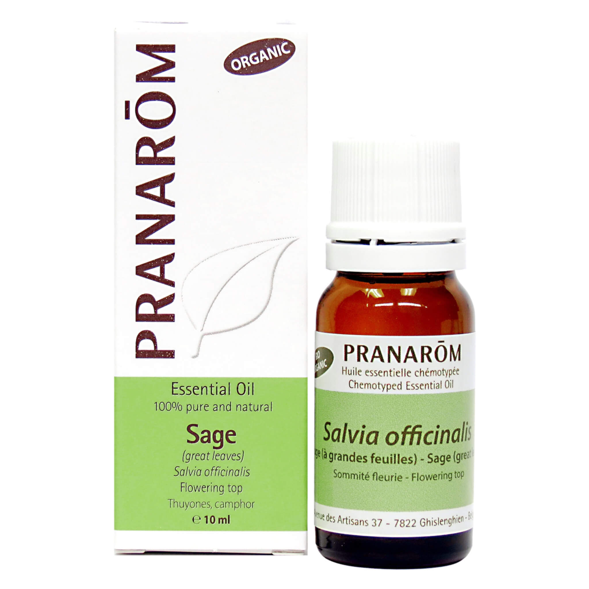 Pure Sage Essential Oil for Aromatherapy, Relaxation & Skin Care - 100% Natural Therapeutic Grade for Diffusers, Massage & DIY Beauty Products