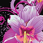 Purple Hibiscus