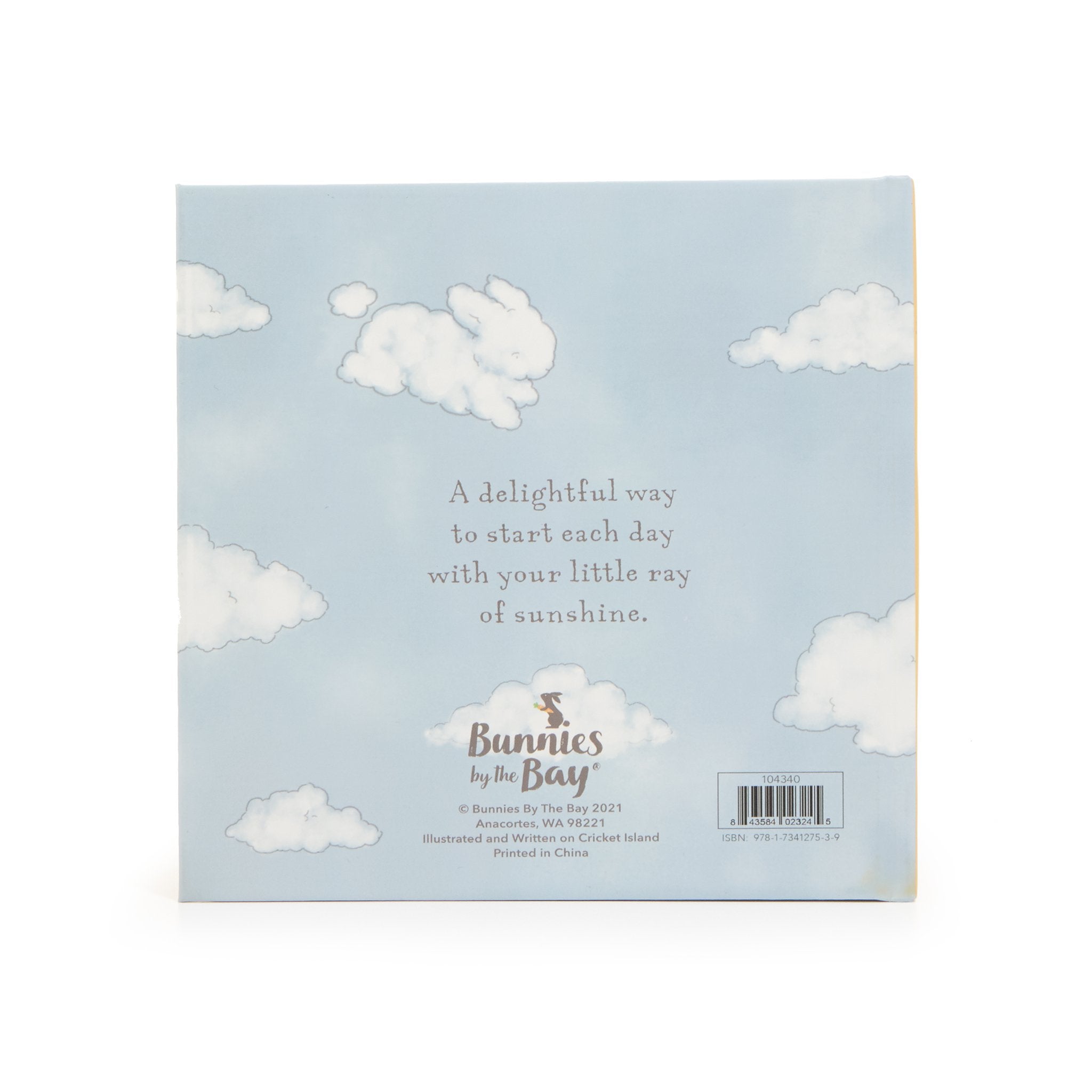 Little Sunshine Board Book - Interactive Learning for Toddlers | Perfect for Early Childhood Education & Bedtime Stories