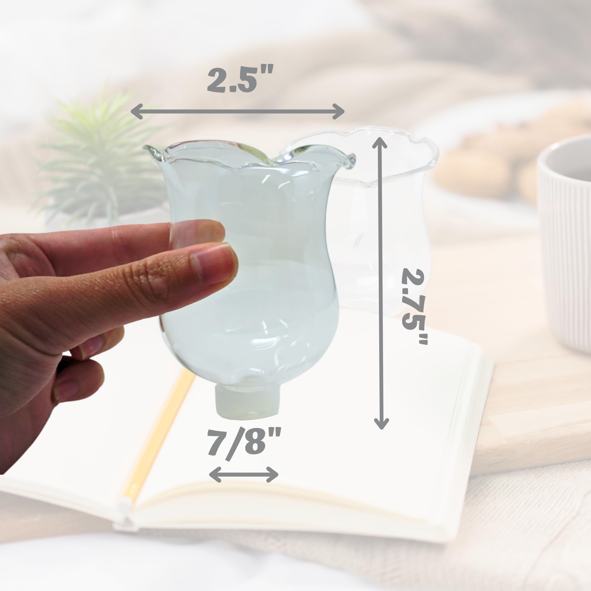 4E's Novelty Clear Glass Votive Cups with Peg - Pack of 6 - 2.75