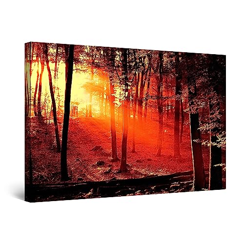 Red Forest Trees