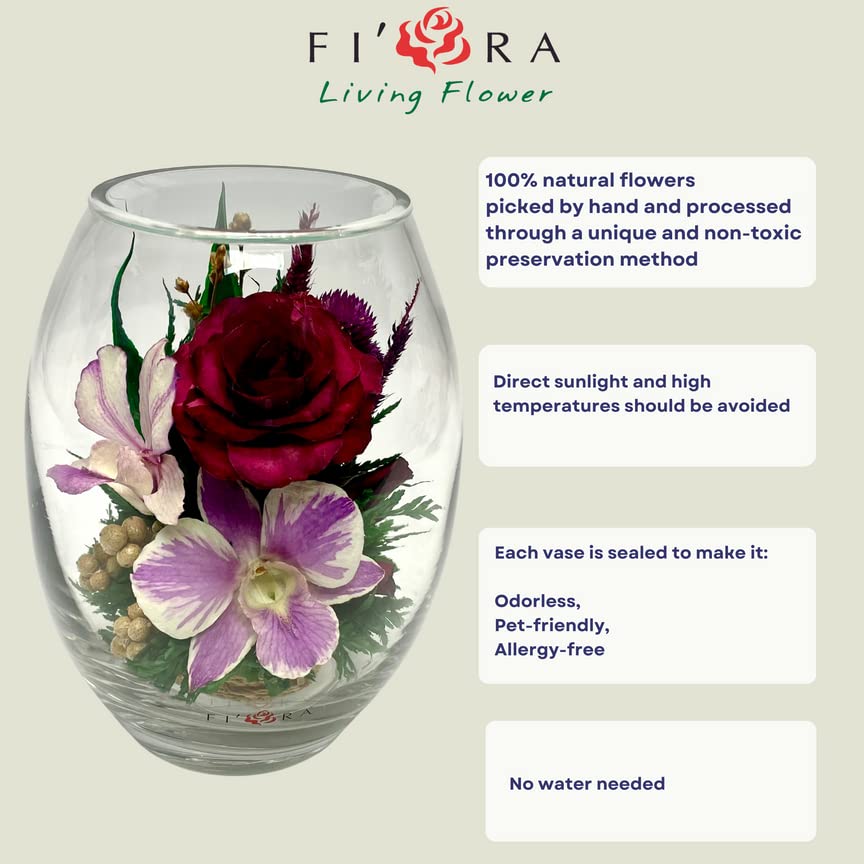 Luxury Preserved Orchid Arrangement in Glass Vase - Long Lasting Silk Flowers for Anniversary, Wedding, Corporate Gifts - Perfect for Home Decor, Office Centerpiece & Special Occasions