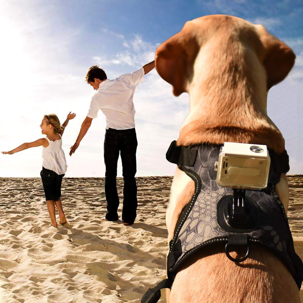 Balacoo Dog Fetch Harness with Camera Mount - Adjustable Puppy Vest for Small Dogs, Outdoor Dog Walking Belt & Treat Dispenser - Perfect for Hiking, Training, and Adventure Photography