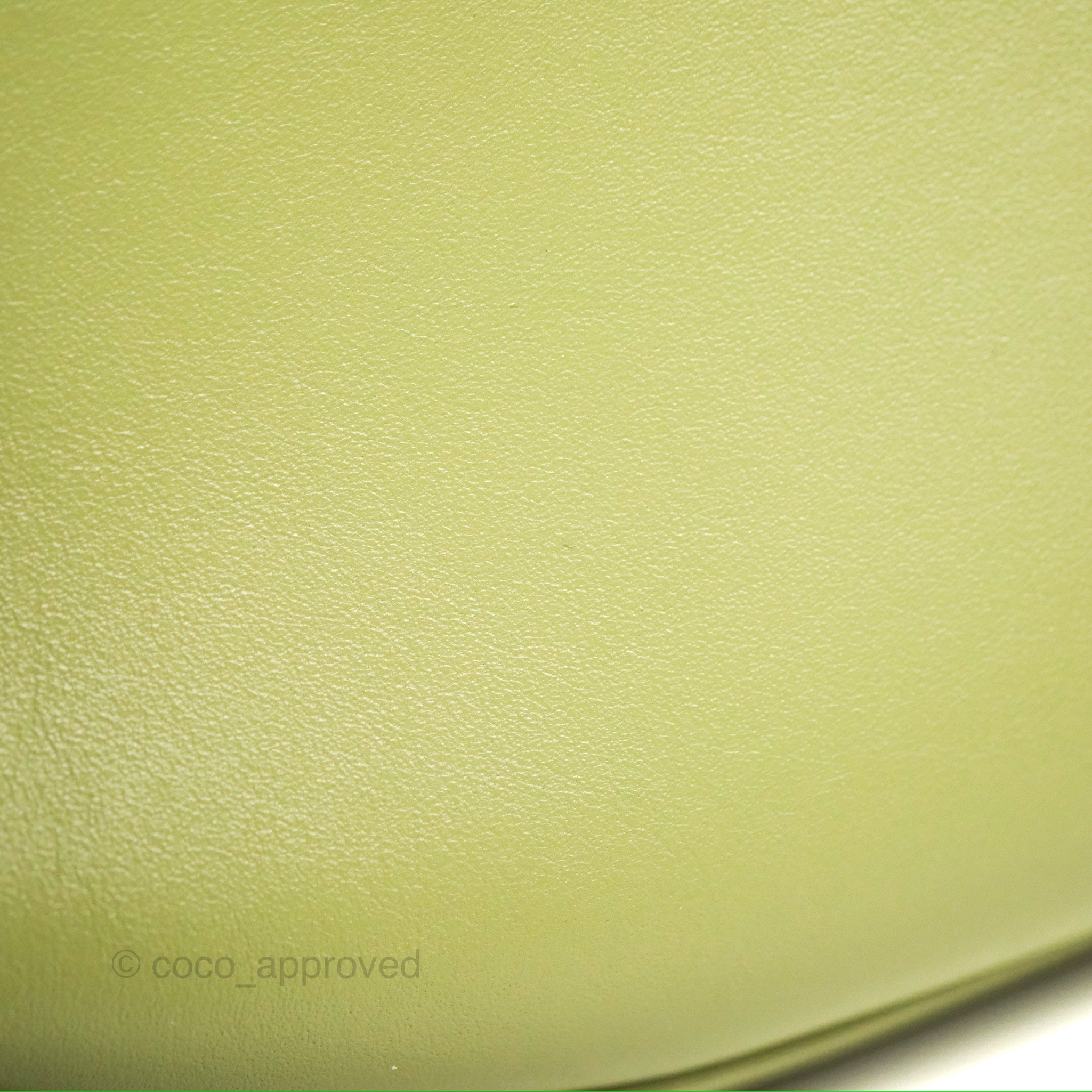 Celine Ava Bag in Avocado Green Calfskin Leather - Stylish Crossbody Purse for Women, Perfect for Everyday Use, Work & Travel