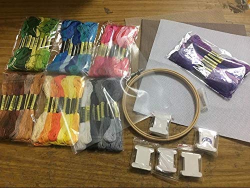 UKLLYY Embroidery Punch Needle Kit - 30 Colors Thread, Scissors, Pen Set for Punch Needle Embroidery, Cross Stitch & Crochet - Perfect for DIY Craft, Home Decor & Handmade Gifts