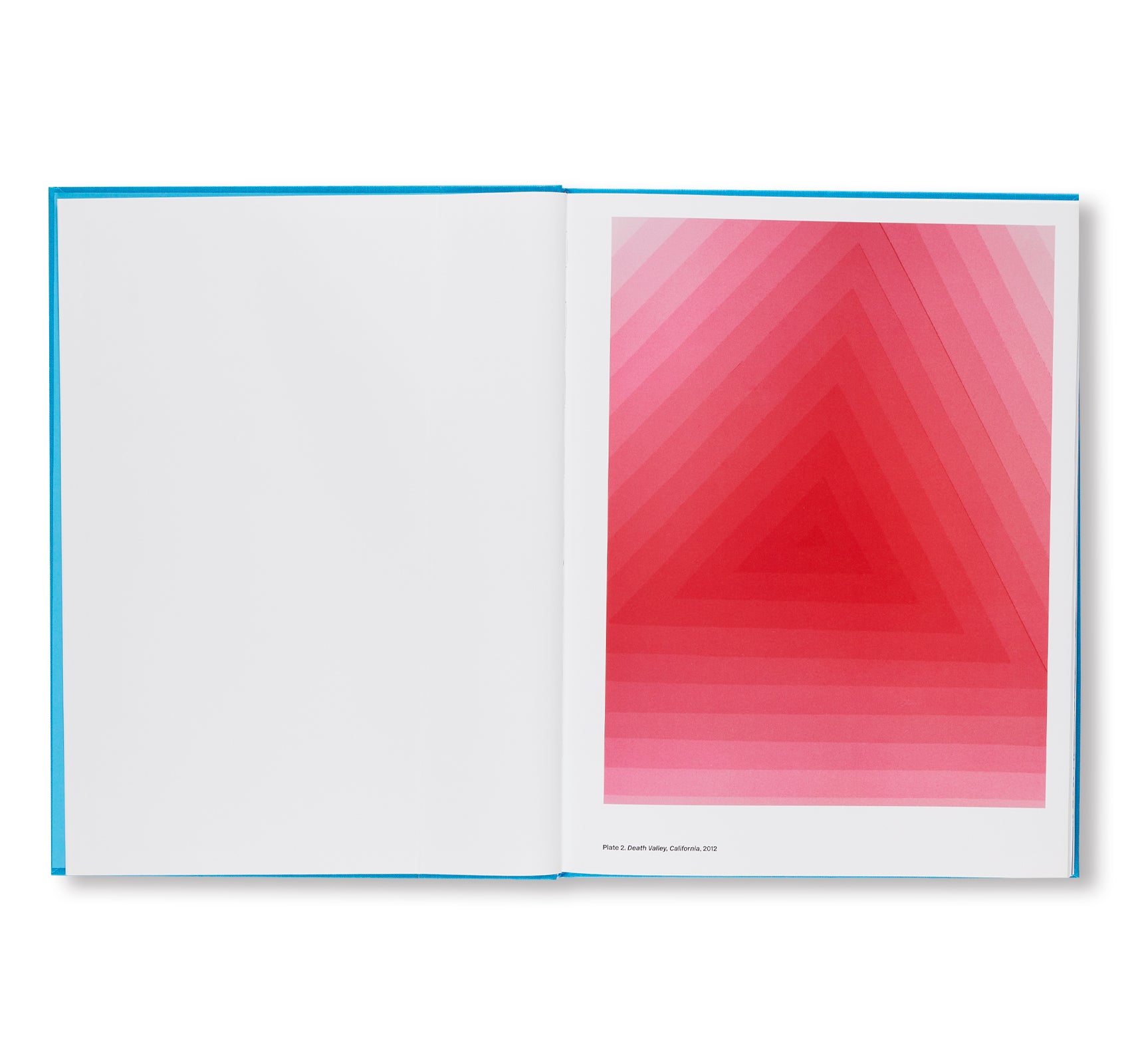 PINK GENESIS by David Benjamin Sherry - Limited Edition Art Photography Book for Collectors - Perfect for Home Decor, Art Galleries & Photography Enthusiasts