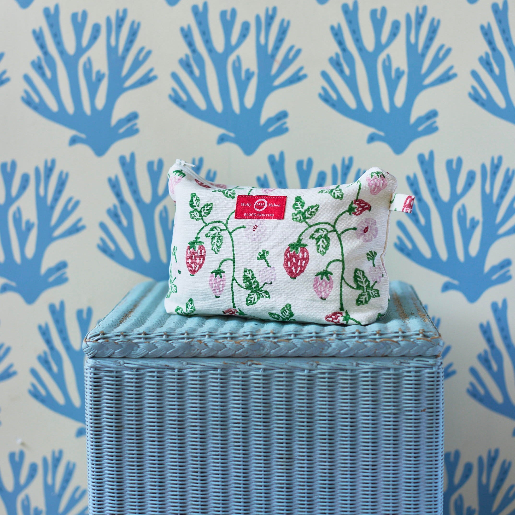 Strawberry Wash Bag - Laundry Mesh Bag for Delicates, Lingerie, Socks & Baby Clothes - Gentle Washing Protection for Travel & Home Use