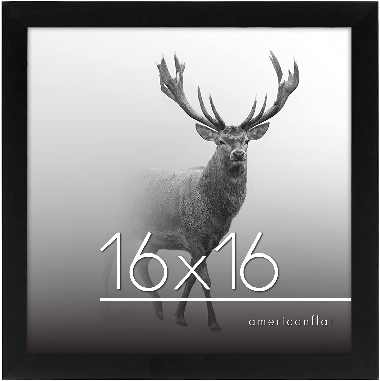 Americanflat 16x16 Black Wood Photo Frame - Wall Display for Home & Office Decor