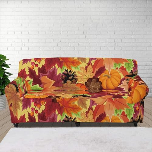 Autumn Maple Leaves