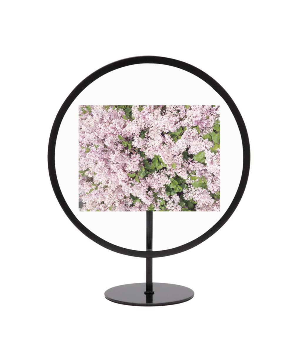 Umbra Infinity Floating Picture Frame - 4x6 Black Photo Display for Desk or Wall - Perfect for Home, Office Decor & Gift Giving