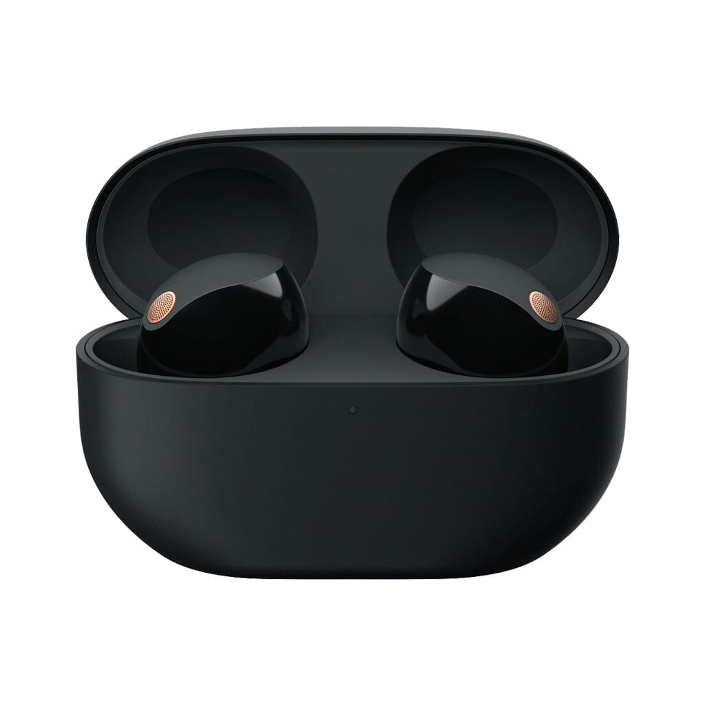Sony WF-1000XM5 Wireless Noise Cancelling Earbuds - Bluetooth In-Ear Headphones with Mic for Gym, Travel & Workout