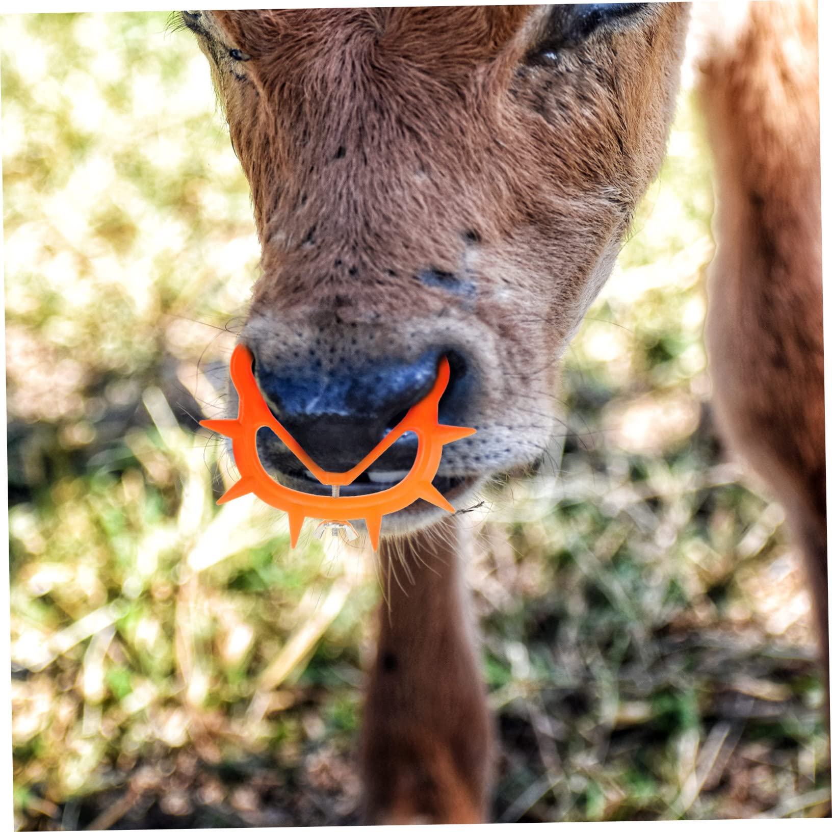 SEWOART 4-Pack Calf Nose Clips - Stress-Free Livestock Weaning Tool for Calves | Comfortable & Humane Cow Weaning Aid | Perfect for Dairy Farms & Cattle Ranches