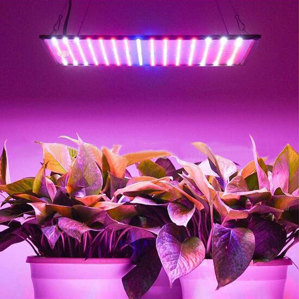 1000W LED Grow Light with 225 LEDs - Ultra Thin, Lightweight & Easy to Install for Indoor Plants | Perfect for Hydroponics, Greenhouses & Home Gardening
