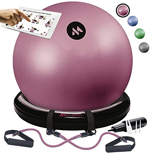 Pink Yoga Ball Chair