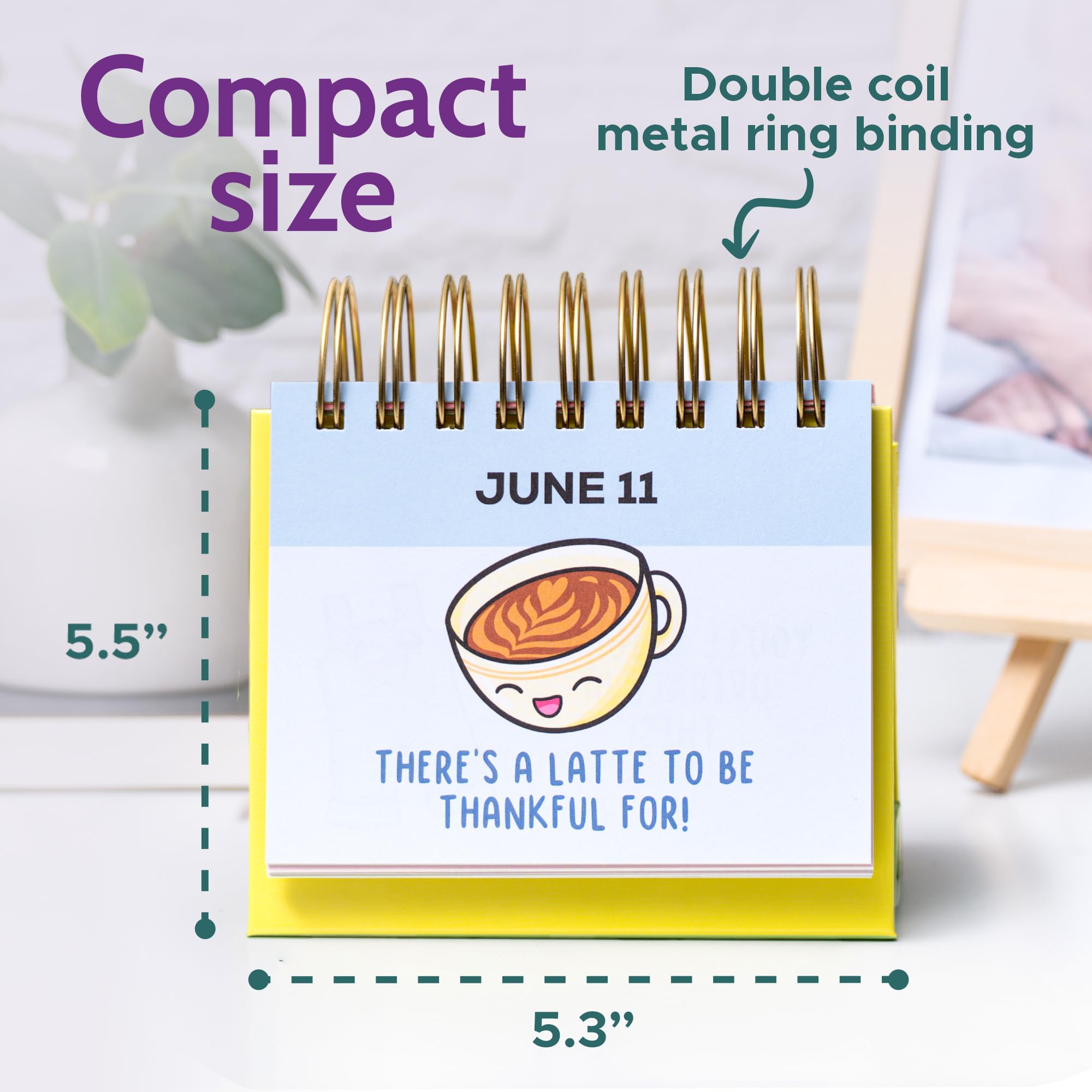 T MARIE Motivational Desk Calendar - Daily Perpetual Office Calendar for Women & Men | Inspirational Quotes, Positive Affirmations | Perfect for Office Decor, Work Desk Accessories & Gift Ideas | Boost Productivity & Daily Motivation