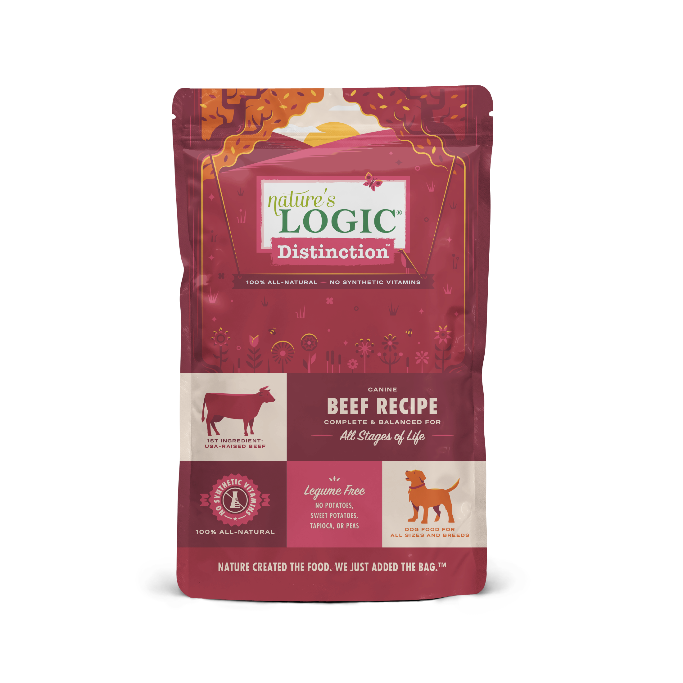 Nature's Logic Distinction Grain-Free Dry Dog Food - Beef Recipe for Adult Dogs - High Protein, All-Natural Ingredients - Perfect for Active Pets & Sensitive Stomachs