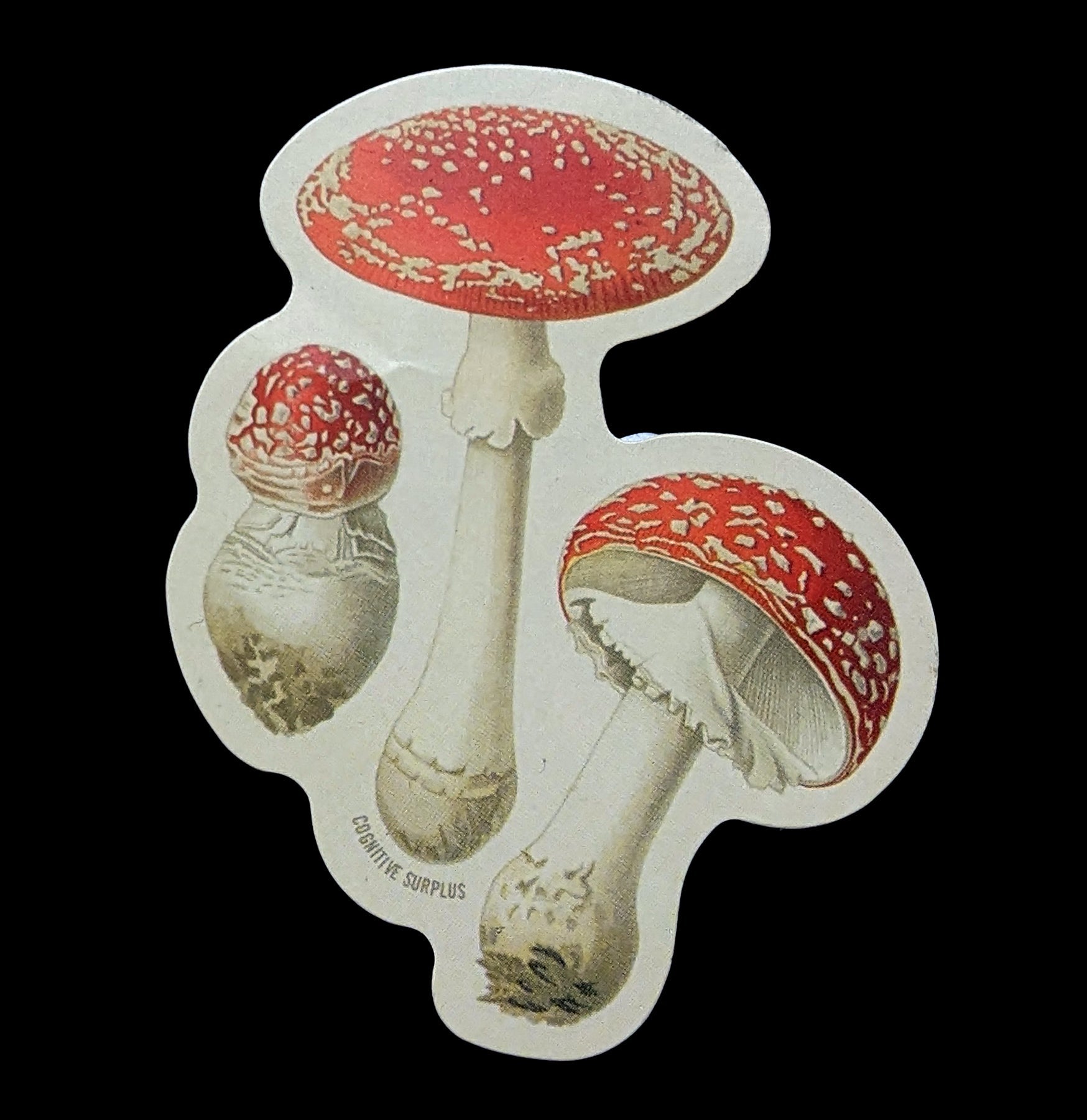 Fly Agaric Poisonous Mushroom Stickers - Decorative Waterproof Vinyl Decals for Laptops, Water Bottles & DIY Crafts