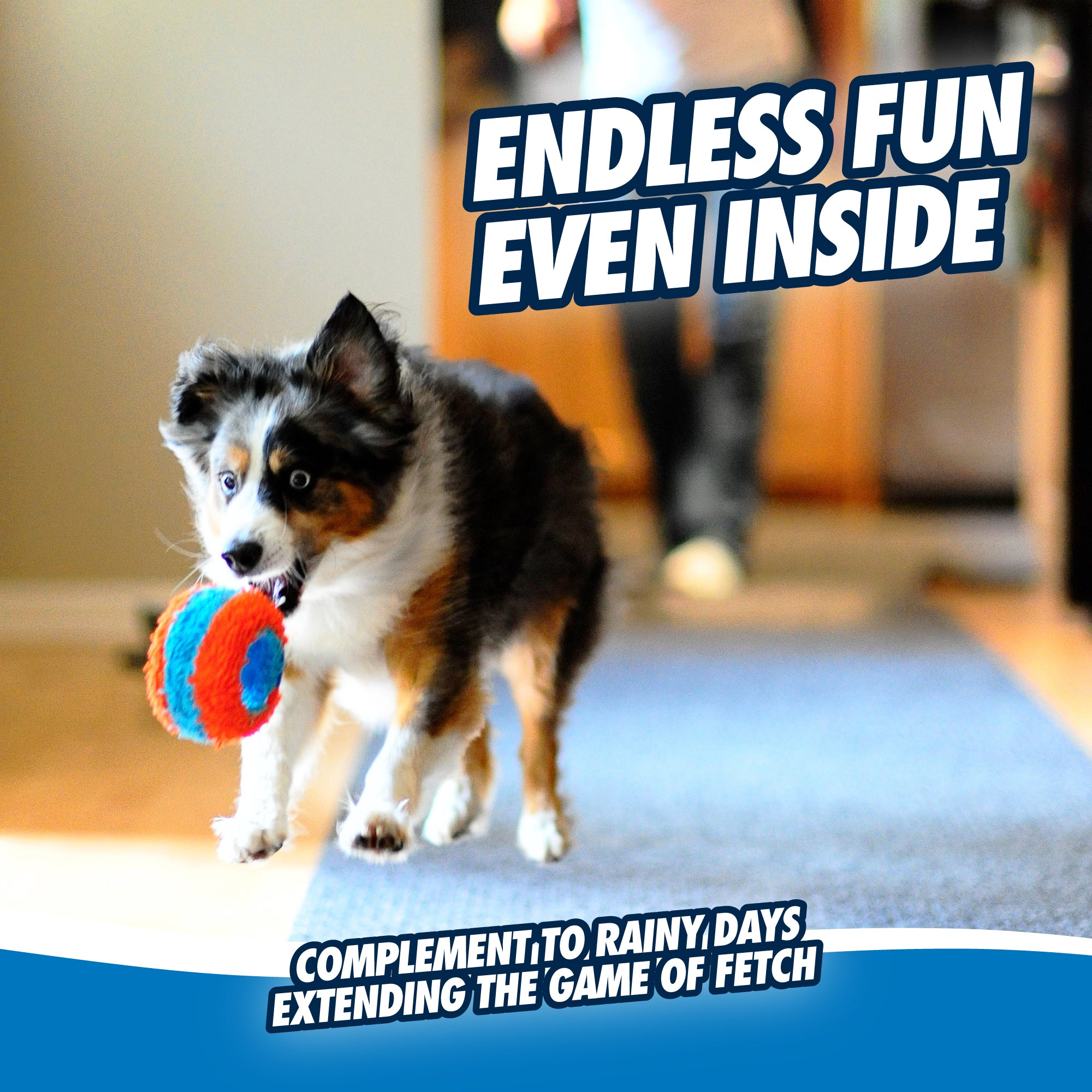 Chuckit! Indoor Roller Dog Toy - Interactive Ball for Small & Medium Dogs - Perfect for Playtime, Training & Exercise in Living Rooms & Apartments