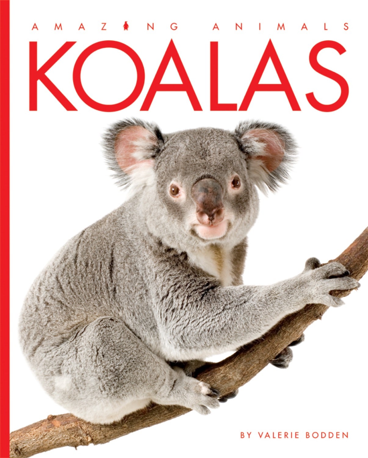 Amazing Animals (2014) - Koala Documentary Film | Wildlife Nature Education | Perfect for Classroom Learning & Family Movie Nights